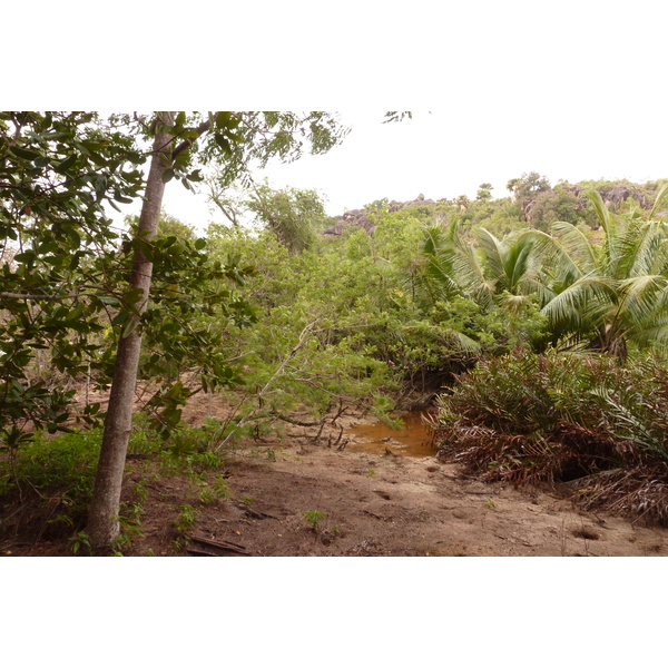 รูปถ่าย เซเชลส์(Seychelles) เกาะกูรีเยิซ(Curieuse) 2011-10 54