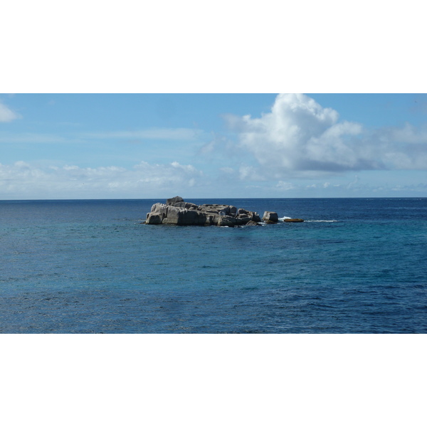 รูปถ่าย เซเชลส์(Seychelles) เกาะโกโก้(Coco Island) 2011-10 77