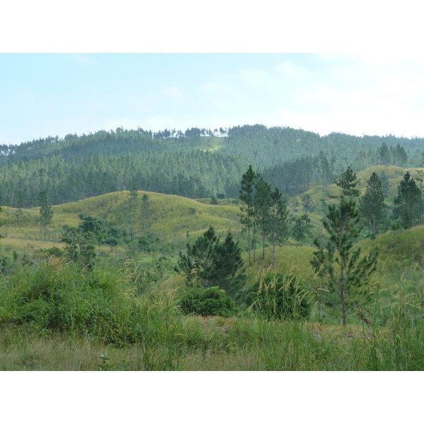 รูปถ่าย ฟิจิ(Fiji) ถนนจากนาดีไปนาตาโดลา(Nadi to Natadola road) 2010-05 2