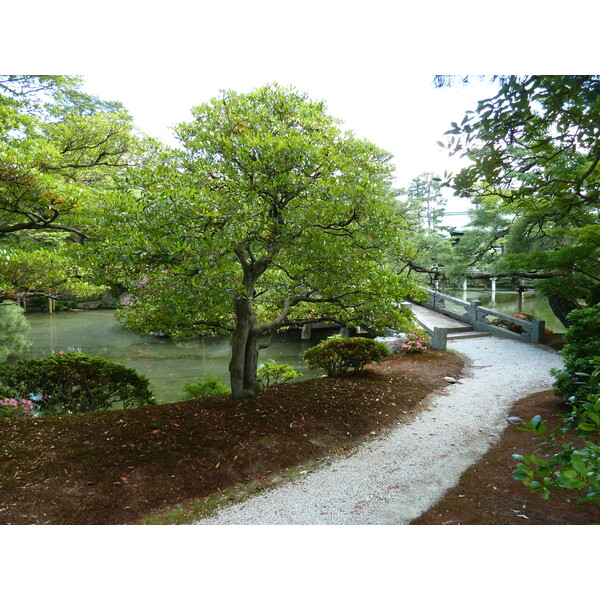 รูปถ่าย ญี่ปุ่น(Japan) เกียวโต(Kyoto) พระราชวังหลวงเกียวโต(Kyoto Imperial Palace) 2010-06 31