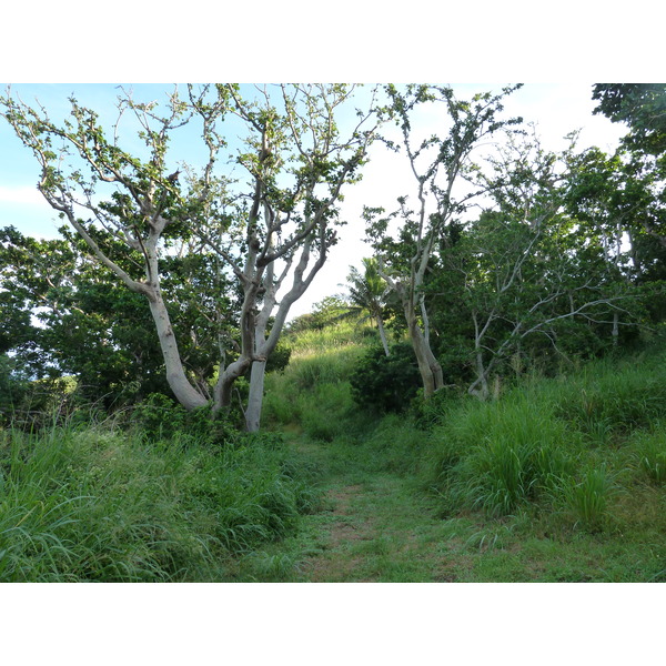 รูปถ่าย ฟิจิ(Fiji) รีสอร์ตเกาะอามูนูกา(Amunuca Island Resort) 2010-05 94