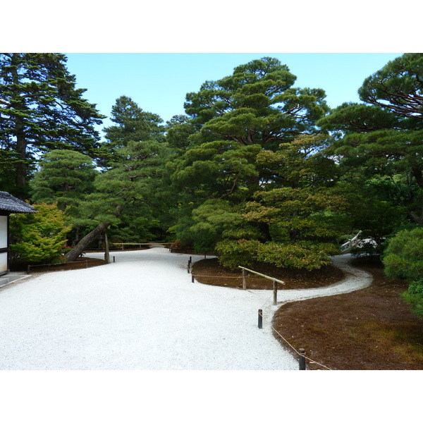 รูปถ่าย ญี่ปุ่น(Japan) เกียวโต(Kyoto) พระราชวังหลวงเกียวโต(Kyoto Imperial Palace) 2010-06 46