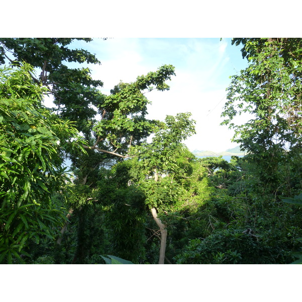 รูปถ่าย ฟิจิ(Fiji) รีสอร์ตเกาะอามูนูกา(Amunuca Island Resort) 2010-05 117