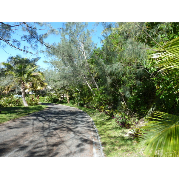 รูปถ่าย นิวแคลิโดเนีย(New Caledonia) เกาะลีฟู(Lifou) โรงแรมเดรฮูวิลเลจ(Drehu Village Hotel) 2010-05 67