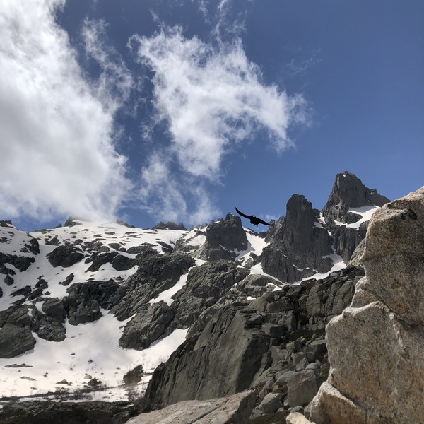 รูปถ่าย ฝรั่งเศส(France) คอร์สิคา(Corsica) ทะเลสาบเมโลและกาปีเตลโล(Lac de Melo et Capitello) 2021-06 228