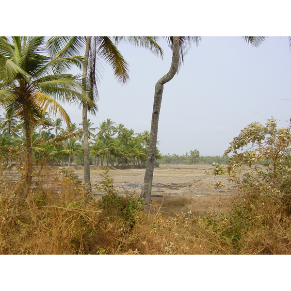 รูปถ่าย อินเดีย(India) กัว(Goa) 2003-05 52