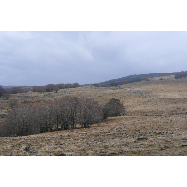 รูปถ่าย ฝรั่งเศส(France) โอบรัก(L'Aubrac) 2008-04 24