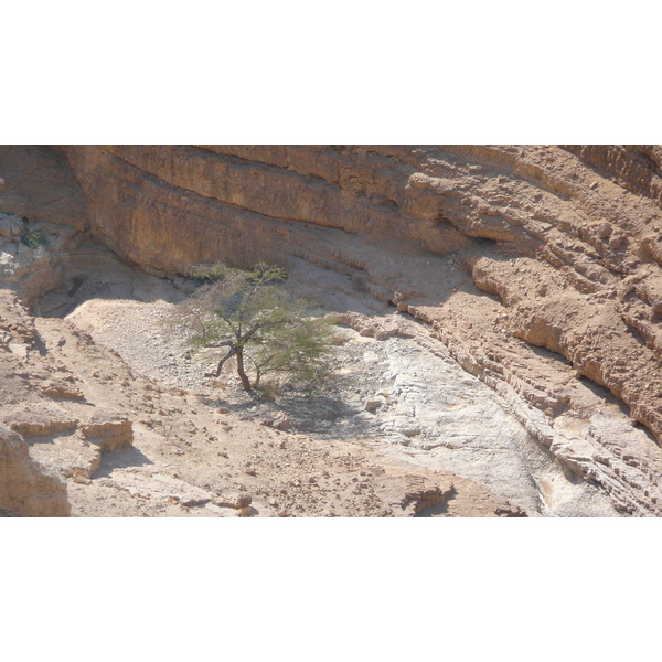 รูปถ่าย อิสราเอล(Israel) ถนนจากอาราดไปทะเลเดดซี(Arad to Dead Sea road) 2007-06 105