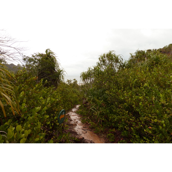 รูปถ่าย เซเชลส์(Seychelles) เกาะกูรีเยิซ(Curieuse) 2011-10 1