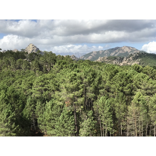 รูปถ่าย ฝรั่งเศส(France) คอร์สิคา(Corsica) ป่าลอสเปดาเล(L'ospedale Forest) 2017-09 8
