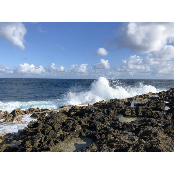 รูปถ่าย กวาเดอลูป(Guadeloupe) แหลมคาสเซิลพอยต์(Castle Point) 2021-02 190