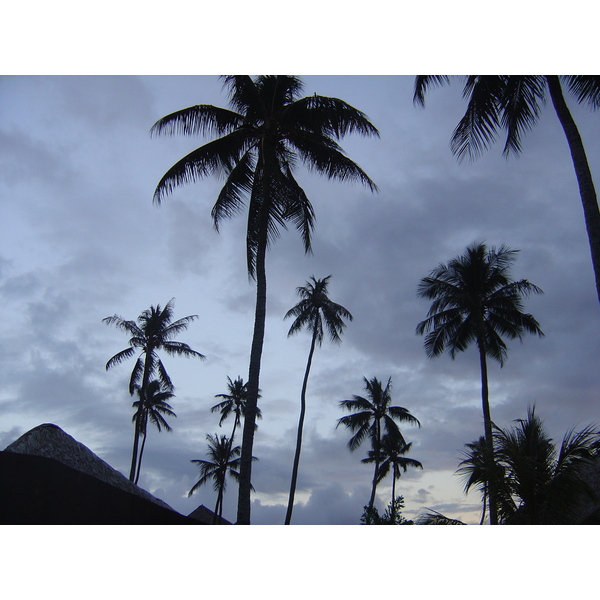 รูปถ่าย เฟรนช์โพลี่นีเซีย(Polynesia) มูเรีย(Moorea) โรงแรมเพิร์ลรีสอร์ต(Pearl Resort Hotel) 2006-04 0