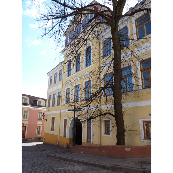 รูปถ่าย เอสโตเนีย(Estonia) ทาลลินน์(Tallinn) 2009-04 37