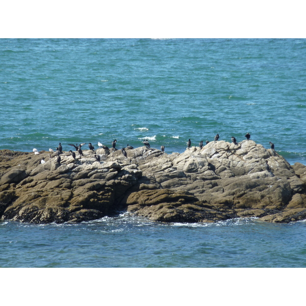 รูปถ่าย ฝรั่งเศส(France) ปีรียัก-ซูร์-แมร์(Piriac sur mer) 2009-08 18