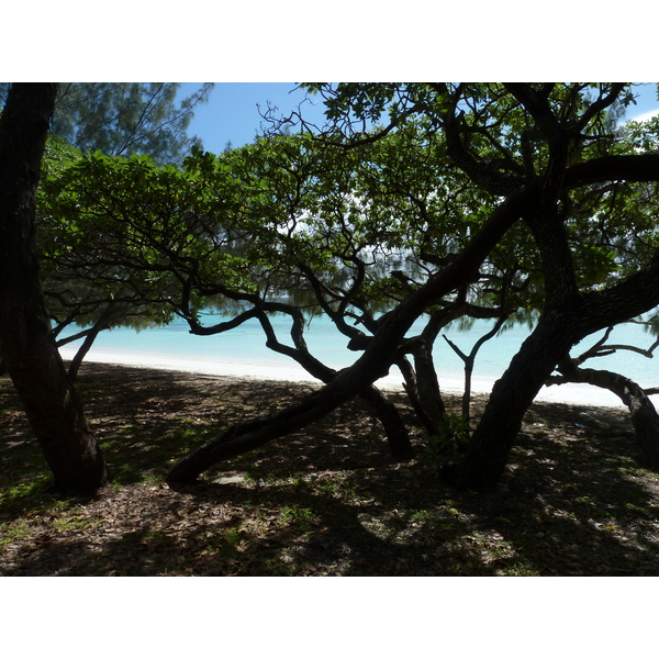 รูปถ่าย นิวแคลิโดเนีย(New Caledonia) เกาะลีฟู(Lifou) หาดลูเอ็งโกนี(Luengoni Beach) 2010-05 33