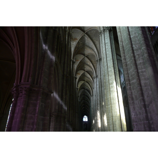 รูปถ่าย ฝรั่งเศส(France) บูร์ฌ(Bourges) มหาวิหารบูร์ฌ(Bourges Cathedral) 2008-04 20