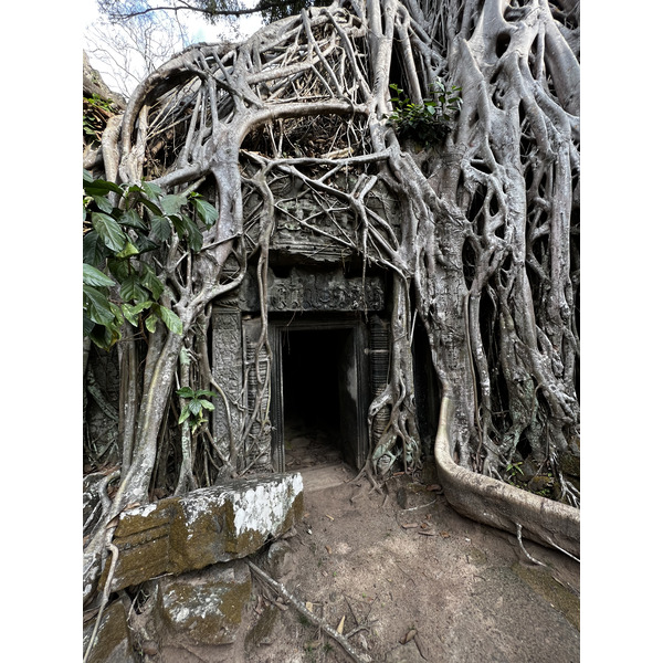 รูปถ่าย กัมพูชา(Cambodia) เสียมราฐ(Siem Reap) ปราสาทตาพรหม(Ta Prohm) 2023-01 29