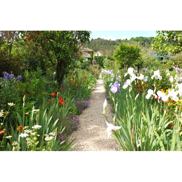 รูปถ่าย ฝรั่งเศส(France) ฌีแวร์นี(Giverny) 2013-06 225