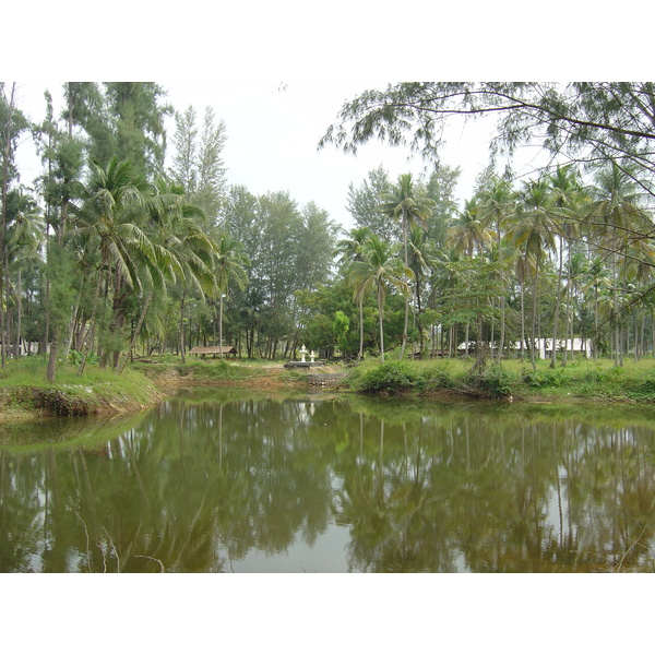 รูปถ่าย ไทย(Thailand) เขาหลัก(Khao Lak) หาดบางสัก(Bang Sak Beach) 2005-12 5