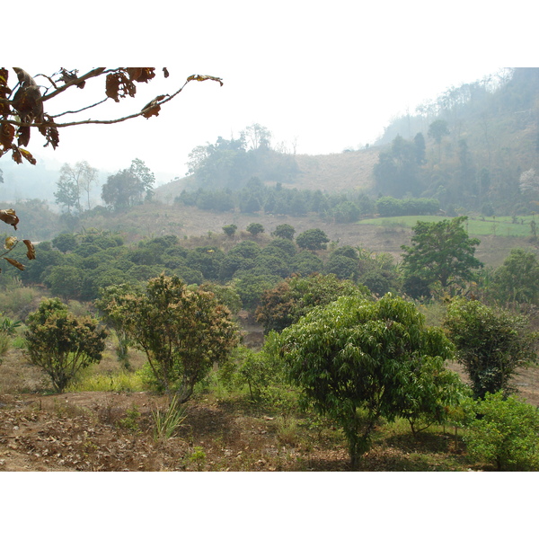 รูปถ่าย ไทย(Thailand) ถนนจากปางมะผ้าไปปาย(Pang Mapha to Pai road) 2007-02 84