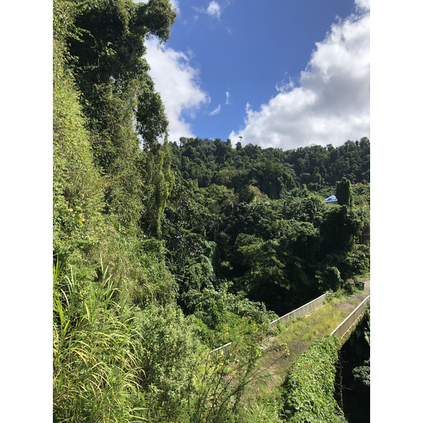 รูปถ่าย กวาเดอลูป(Guadeloupe) ภูเขาไฟลากร็องด์ซูฟรีแยร์(La Grande Soufriere) 2021-02 38