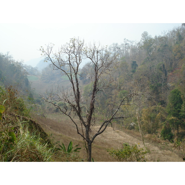 รูปถ่าย ไทย(Thailand) ถนนจากปางมะผ้าไปปาย(Pang Mapha to Pai road) 2007-02 8