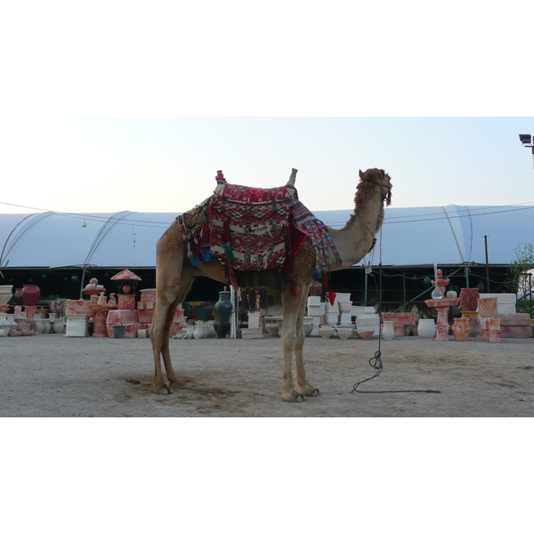 รูปถ่าย อิสราเอล(Israel) ทะเลดำ(Dead Sea) 2007-06 101