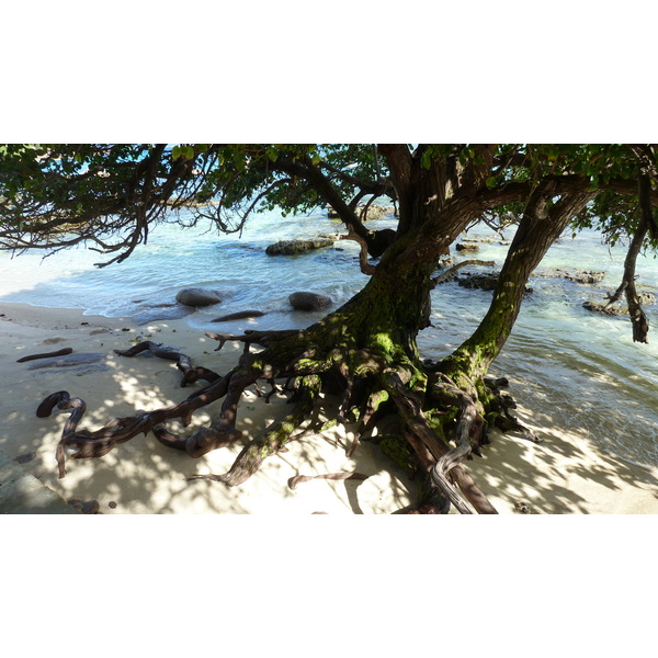 รูปถ่าย เซเชลส์(Seychelles) เกาะปราลิน(Praslin) 2011-10 216
