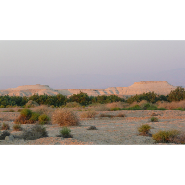 รูปถ่าย อิสราเอล(Israel) ทะเลดำ(Dead Sea) 2007-06 129
