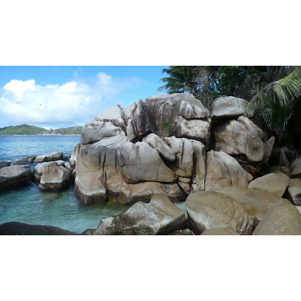 รูปถ่าย เซเชลส์(Seychelles) เกาะโกโก้(Coco Island) 2011-10 15