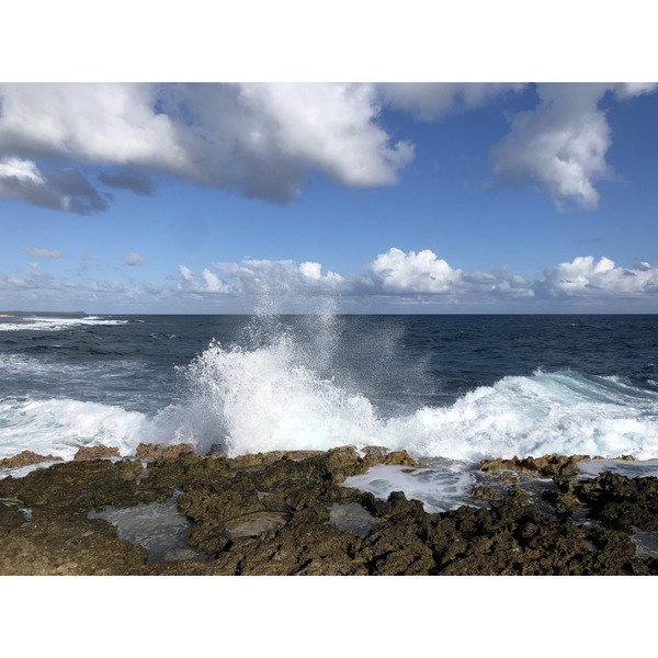 รูปถ่าย กวาเดอลูป(Guadeloupe) แหลมคาสเซิลพอยต์(Castle Point) 2021-02 166