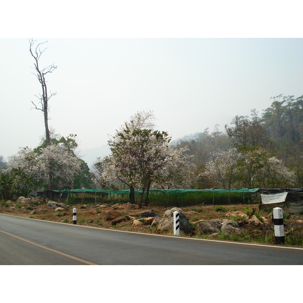 รูปถ่าย ไทย(Thailand) ถนนจากปางมะผ้าไปปาย(Pang Mapha to Pai road) 2007-02 27