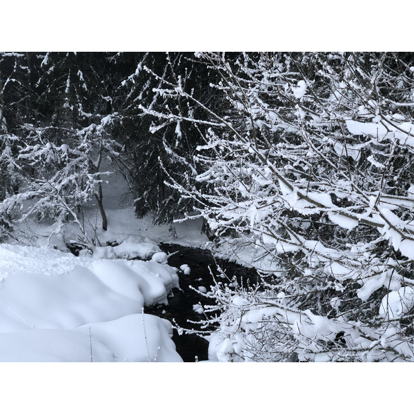 รูปถ่าย ฝรั่งเศส(France) ลากลูซา(La Clusaz) 2017-12 330