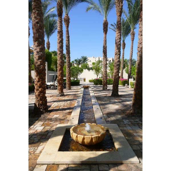รูปถ่าย อียิปต์(Egypt) ชาร์มเอลชีค(Sharm el Sheikh) โรงแรมโฟร์ซีซันส์(Four Seasons Hotel) 2008-06 25