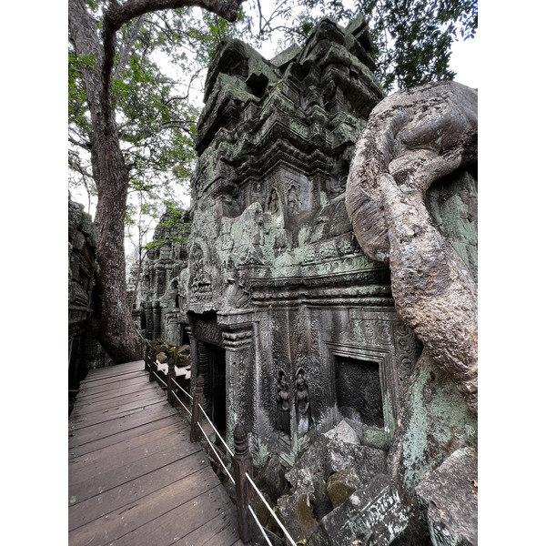 รูปถ่าย กัมพูชา(Cambodia) เสียมราฐ(Siem Reap) ปราสาทตาพรหม(Ta Prohm) 2023-01 86