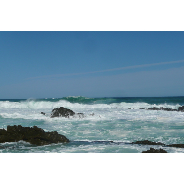รูปถ่าย แอฟริกาใต้(South Africa) อุทยานแห่งชาติซิตซิคัมมา(Tsitsikamma National Park) 2008-09 158