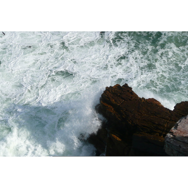 รูปถ่าย แอฟริกาใต้(South Africa) แหลมกู๊ดโฮป(Cape of Good Hope) แหลมเคปพอยต์(Cape Point) 2008-09 21