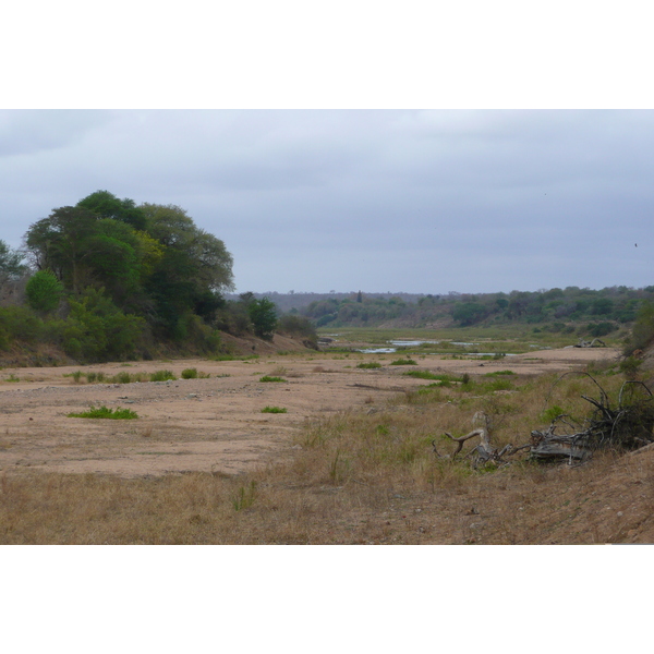 รูปถ่าย แอฟริกาใต้(South Africa) อุทยานแห่งชาติครูเกอร์(Kruger National Park) แม่น้ำครอกโคไดล์(Crocodile River) 2008-09 45