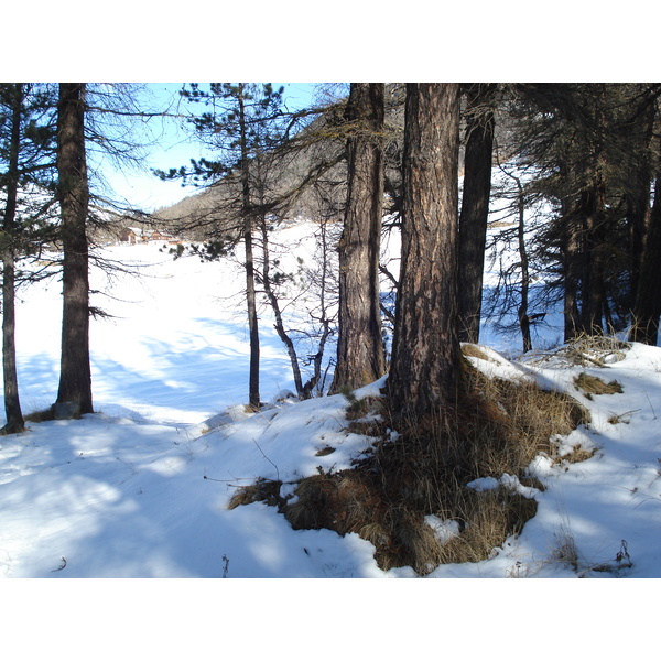 รูปถ่าย สวิสเซอร์แลนด์(Switzerland) ปองเทรซีน่า(Pontresina) 2007-01 159