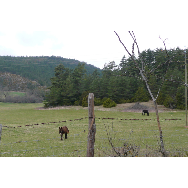 รูปถ่าย ฝรั่งเศส(France) โอบรัก(L'Aubrac) 2008-04 109