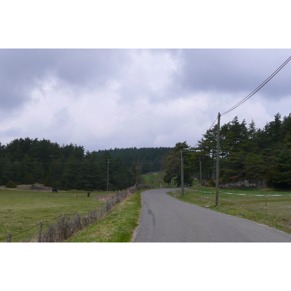 รูปถ่าย ฝรั่งเศส(France) โอบรัก(L'Aubrac) 2008-04 123