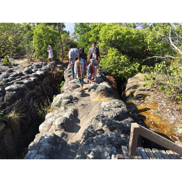 รูปถ่าย ไทย(Thailand) อุทยานแห่งชาติภูหินร่องกล้า(Phu Hin Rong Kla National Park) 2014-12 289