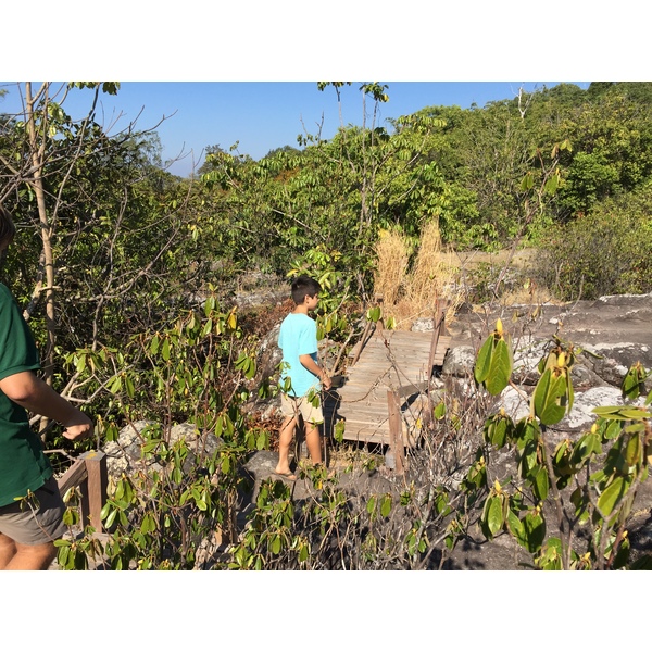 รูปถ่าย ไทย(Thailand) อุทยานแห่งชาติภูหินร่องกล้า(Phu Hin Rong Kla National Park) 2014-12 265