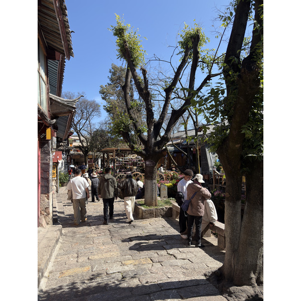 รูปถ่าย จีน(China) ลี่เจียง(Lijiang) 2026-01 410