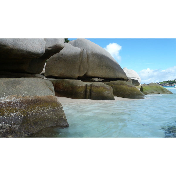 รูปถ่าย เซเชลส์(Seychelles) เกาะโกโก้(Coco Island) 2011-10 84