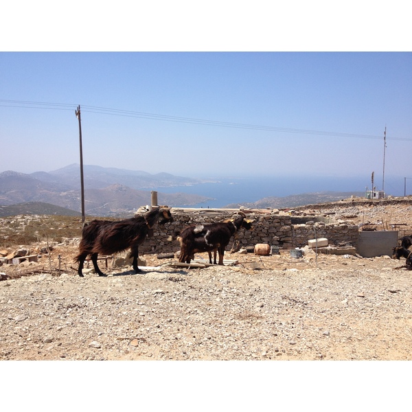 รูปถ่าย กรีก(Greece) เกาะอามอร์กอส(Amorgos) 2014-07 309