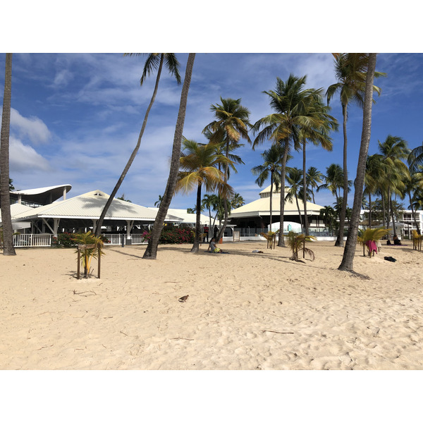 รูปถ่าย กวาเดอลูป(Guadeloupe) หาดลาการาแวล(La Caravelle Beach) 2021-02 39