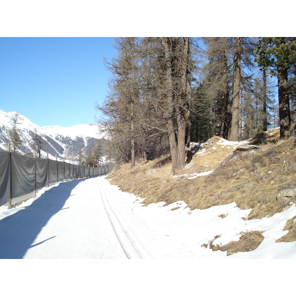 รูปถ่าย สวิสเซอร์แลนด์(Switzerland) ปองเทรซีน่า(Pontresina) 2007-01 138