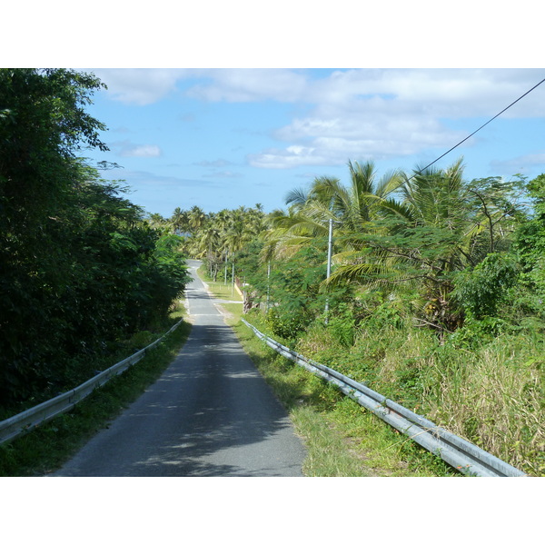 รูปถ่าย นิวแคลิโดเนีย(New Caledonia) เกาะลีฟู(Lifou) 2010-05 25