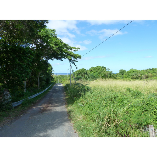 รูปถ่าย นิวแคลิโดเนีย(New Caledonia) เกาะลีฟู(Lifou) 2010-05 17